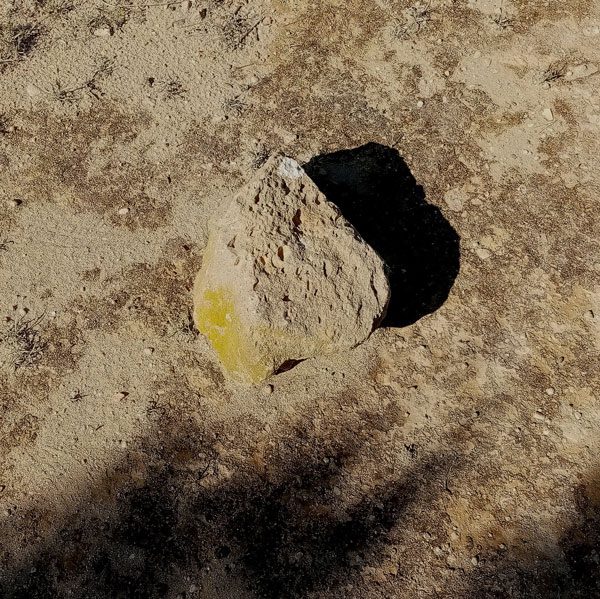 Import Export Nomadic Performance Art Platform