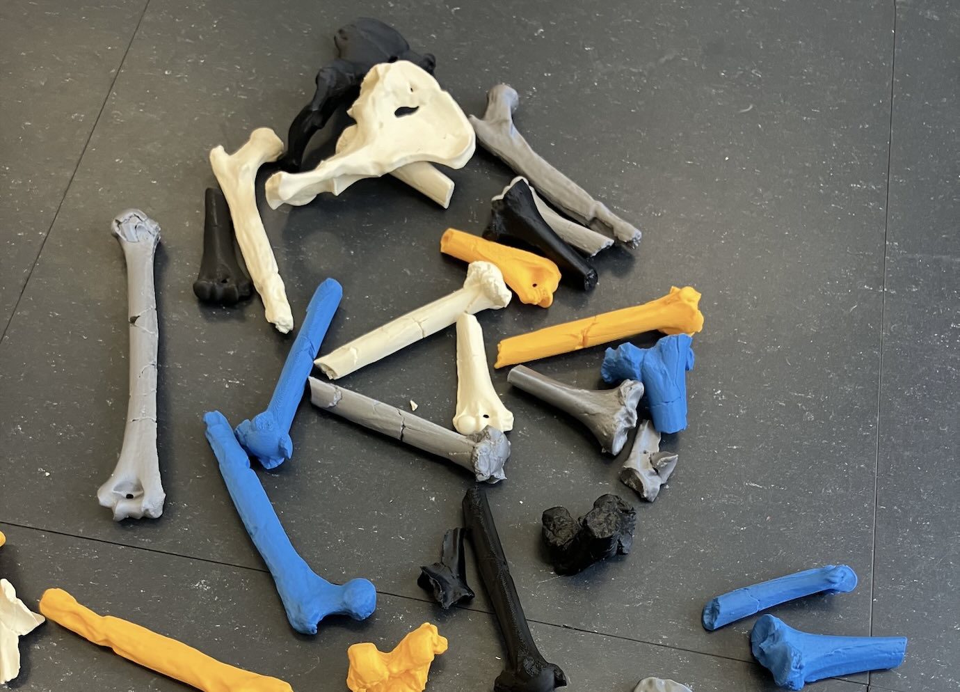  Import Export Nomadic Performance Art Platform